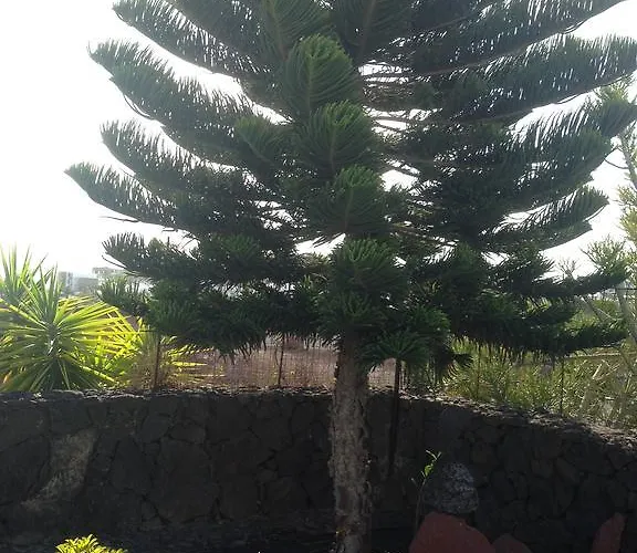 Feriehus Coloradas 15