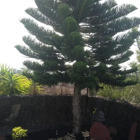 Dom wakacyjny Coloradas 15